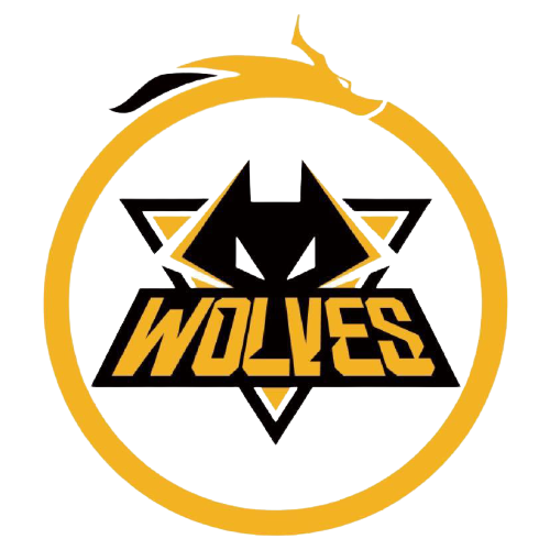 递交了一份 递交了一份